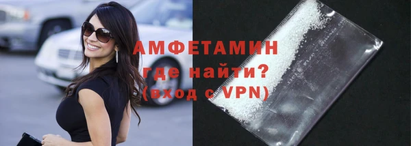 молекула духа Арсеньев