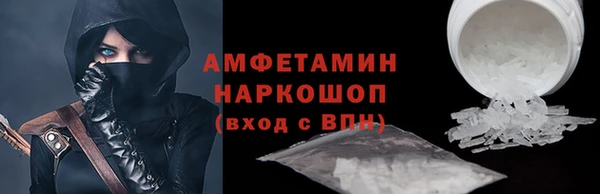 молекула духа Арсеньев