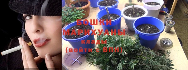 молекула духа Арсеньев