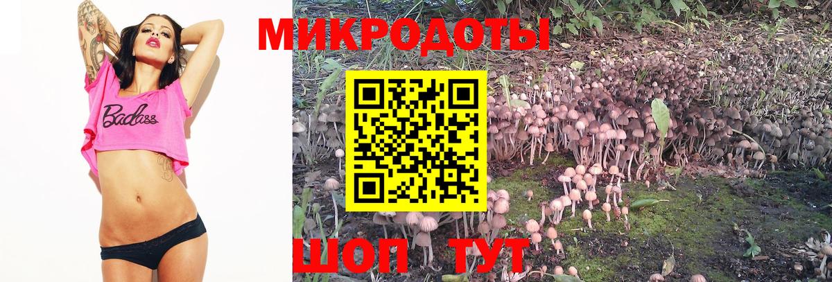 Псилоцибиновые грибы GOLDEN TEACHER  Вход с VPN  даркнет сайт  Псилоцибиновые грибы Psilocybe  Нижний Тагил 